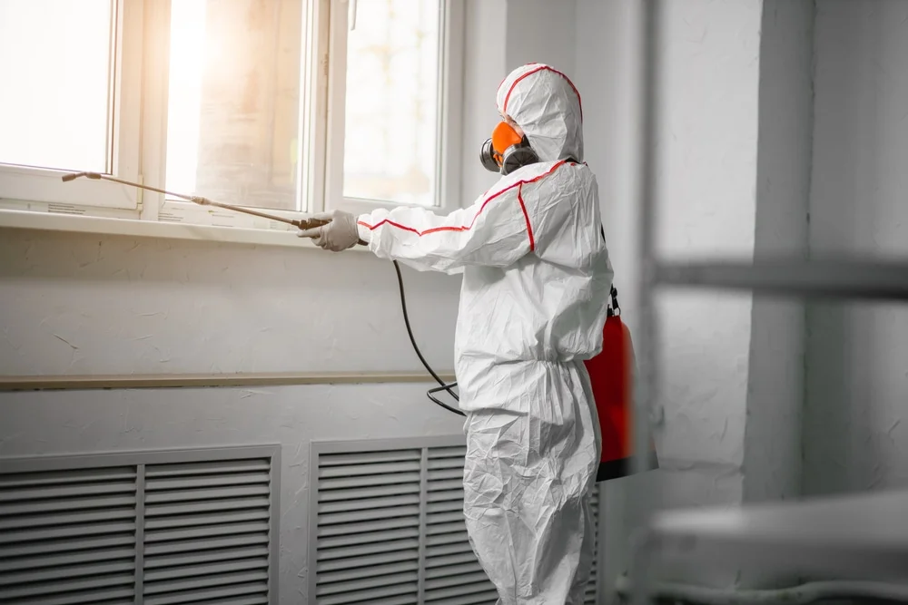 Professional mold remediation services in Haslet, TX